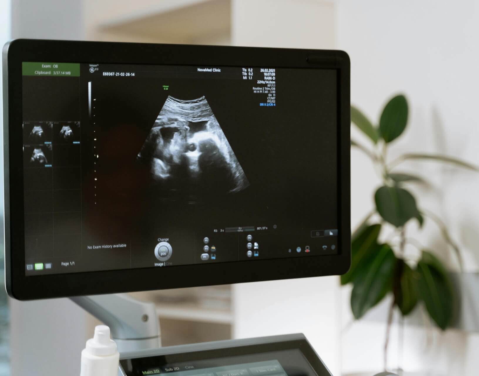 Specializing in Pet Diagnostic Ultrasounds Mobile